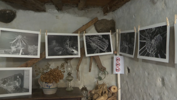 Imagem de Exposição do fotógrafo Francisco Salgueiro valoriza arte de moldar vime nas Flores