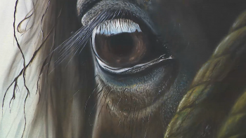 Imagem de Atelier Ponto de Arte assinala o 20º aniversário com exposição coletiva