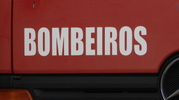 Imagem de Sindicato Nacional da Proteção Civil quer reunir com o Secretário do Ambiente