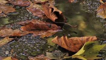 Imagem de IVAR considera preocupantes dados sobre precipitação em São Miguel