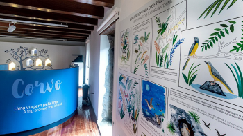 Imagem de Centro de Interpretação de Aves Selvagens do Corvo recebe mil visitantes por ano