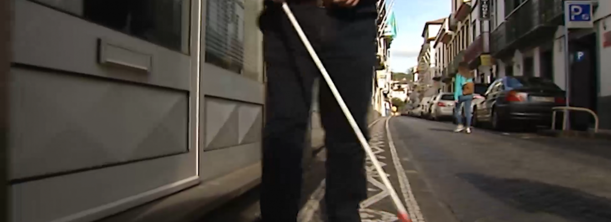 Imagem de Dia da Pessoa com Deficiência: Inclusão na escola e no trabalho são prioridades incontornáveis