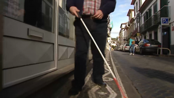 Imagem de Dia da Pessoa com Deficiência: Inclusão na escola e no trabalho são prioridades incontornáveis