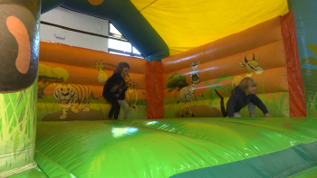 Imagem de Treinadora alerta que não existe oferta desportiva adequada à idade pré-escolar nos Açores