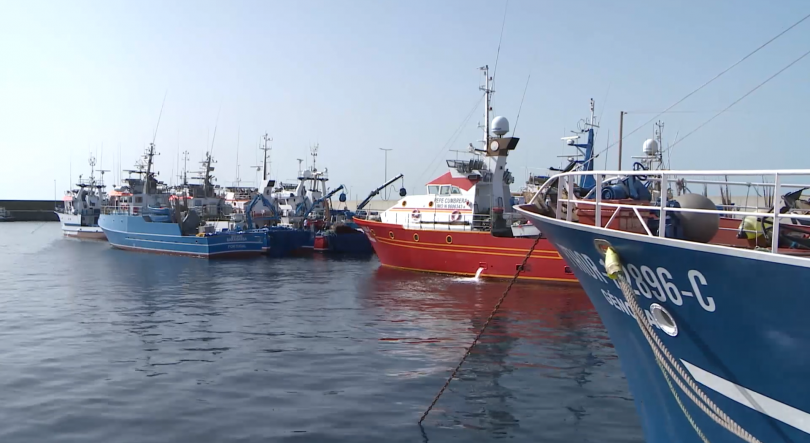 Imagem de Federação das Pescas acusa falta de estratégia e de fiscalização no setor