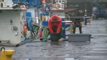 Imagem de Açores encerram pesca do Goraz até final do ano