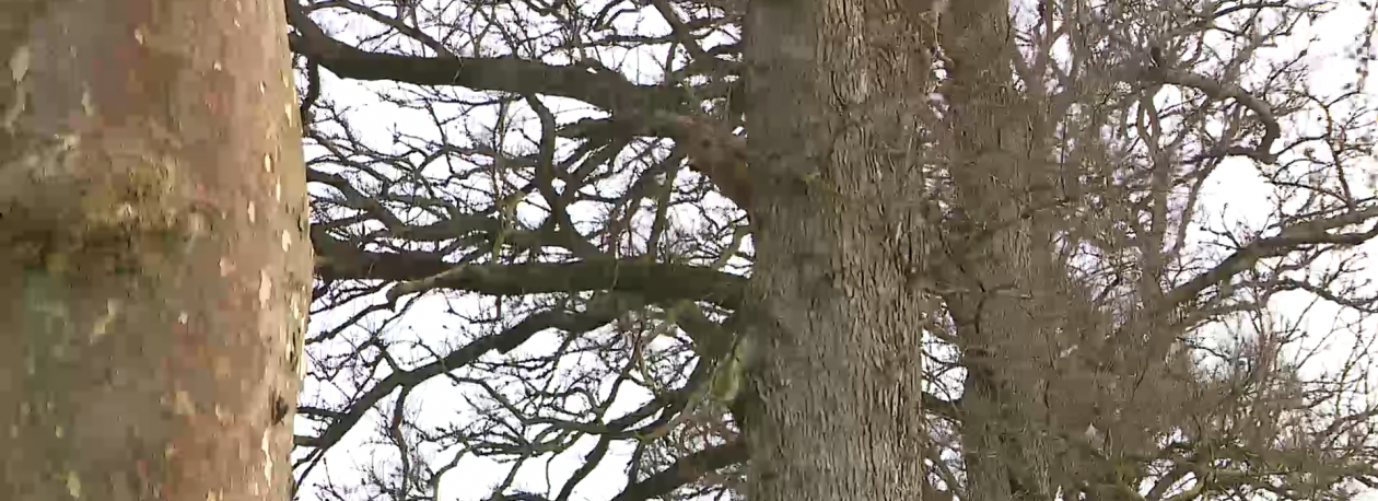 Imagem de Mau tempo provoca 30 ocorrências em quatro ilhas