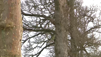 Imagem de Mau tempo provoca 30 ocorrências em quatro ilhas