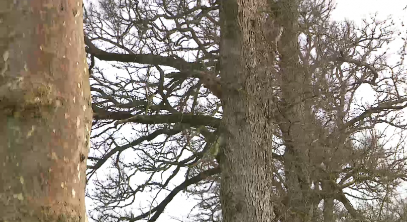 Imagem de Mau tempo provoca 30 ocorrências em quatro ilhas