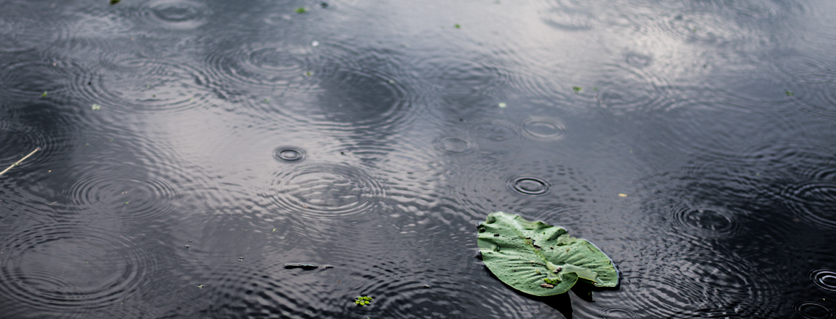 Imagem de Açores sob aviso amarelo devido a chuva por vezes forte