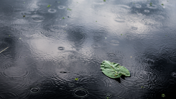 Imagem de Açores sob aviso amarelo devido a chuva por vezes forte
