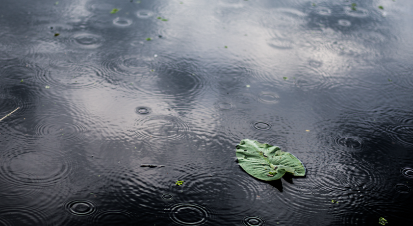 Imagem de Açores sob aviso amarelo devido a chuva por vezes forte