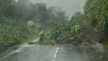 Imagem de Foram registadas 11 ocorrências nas ilhas de São Miguel, Terceira, Pico e Flores