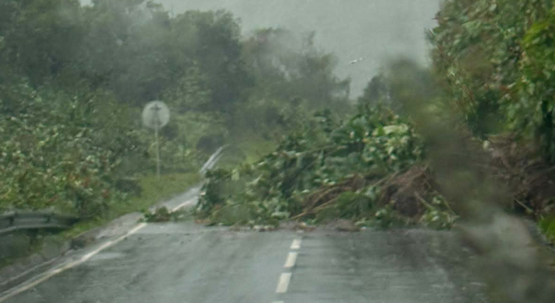 Imagem de Foram registadas 11 ocorrências nas ilhas de São Miguel, Terceira, Pico e Flores