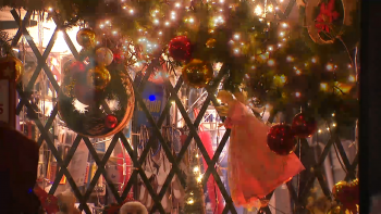 Imagem de Dia das Montras celebrado na Horta com 18 espaços em competição