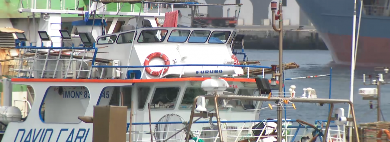 Imagem de Federação das Pescas alerta que setor está no seu limite