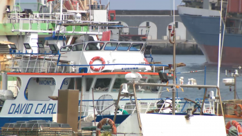 Imagem de Federação das Pescas aplaude acordo com Governo para congelar valor das taxas em lota