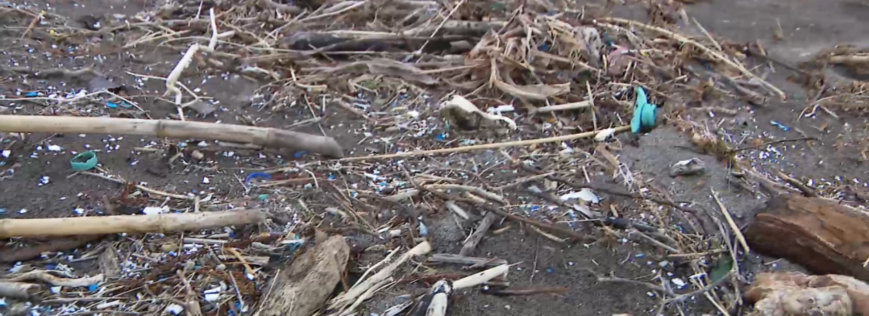 Imagem de Mais de 80% da poluição detetada nas águas dos Açores tem origem externa