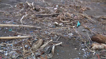 Imagem de Mais de 80% da poluição detetada nas águas dos Açores tem origem externa