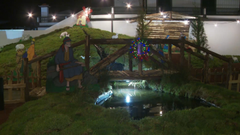 Imagem de Comissão de Festas do Menino Jesus volta a cumprir tradição de enfeitar presépio na Ribeira Grande