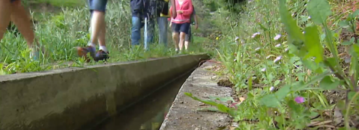 Imagem de Universidade da Madeira e Governo Regional estudam formas de regular acesso a pontos turísticos