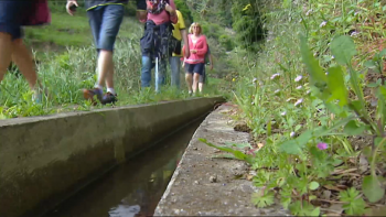 Imagem de Universidade da Madeira e Governo Regional estudam formas de regular acesso a pontos turísticos