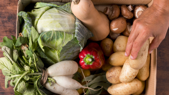 Imagem de Aumenta procura por produtos biológicos nas ilhas