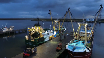 Imagem de Pescas: Portugal assegurou menos cortes no goraz e aumento na captura de atum rabilho