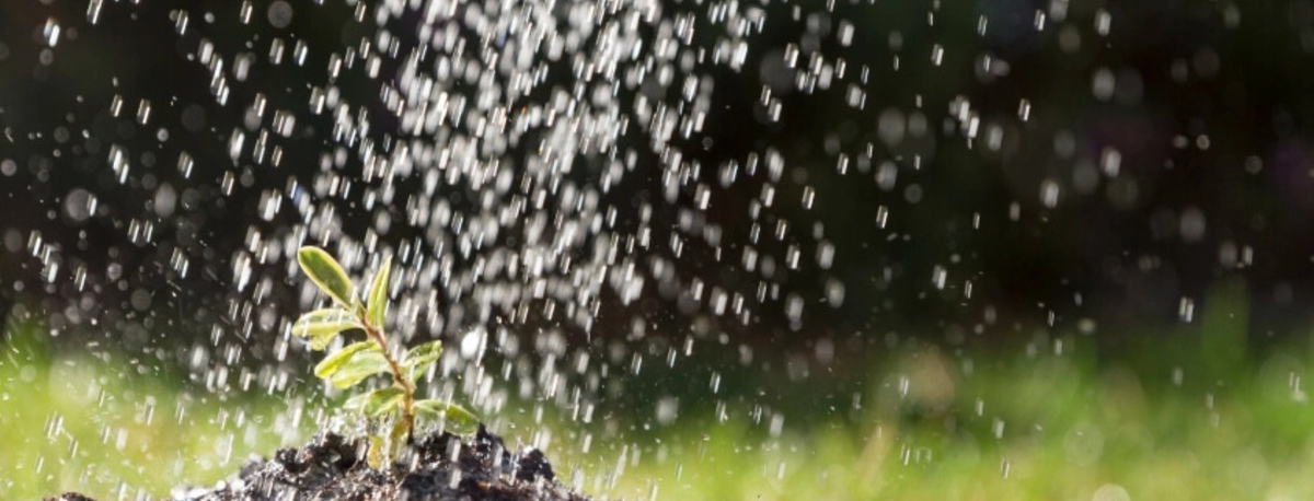 Imagem de Associação dos Agricultores da Graciosa promove colóquio sobre gestão e sustentabilidade da água