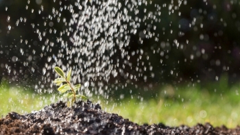 Imagem de Associação dos Agricultores da Graciosa promove colóquio sobre gestão e sustentabilidade da água