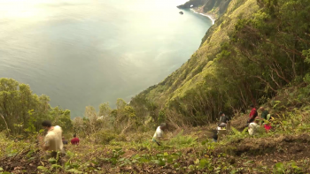 Imagem de Trilhos Pedestres: PAN recomenda sanções para quem circule em trilhos não homologados e taxas nos salvamentos