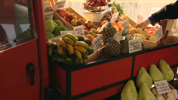 Imagem de Procura por produtos biológicos supera capacidade de produção nos Açores