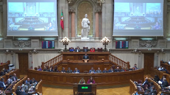 Imagem de Subsídio Mobilidade: Deputados eleitos pelos Açores à Assembleia da República reagem à suspensão da medida