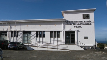 Imagem de CALF aumenta um cêntimo no litro de leite pago aos produtores