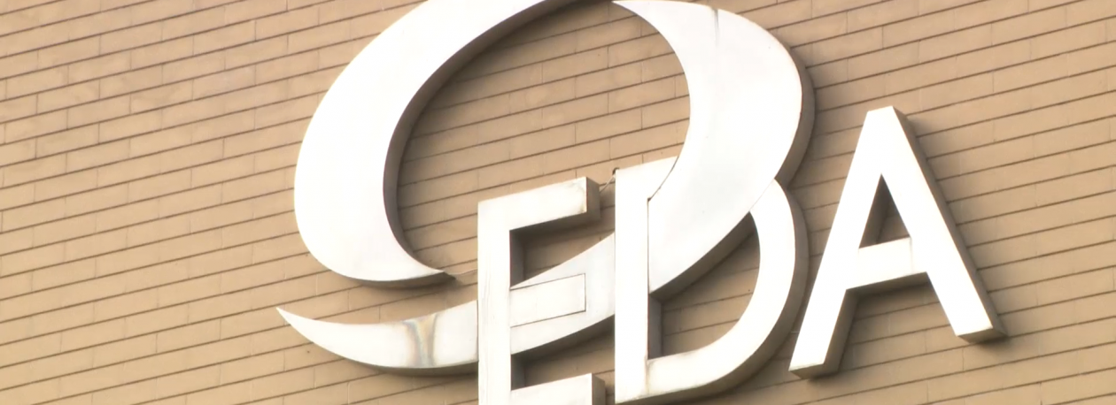 Imagem de EDA registou 11M€ de lucro e vai distribuir 5,7 milhões de dividendos pelos acionistas