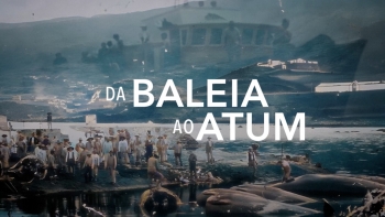 Imagem de Da Baleia ao Atum | Documentário