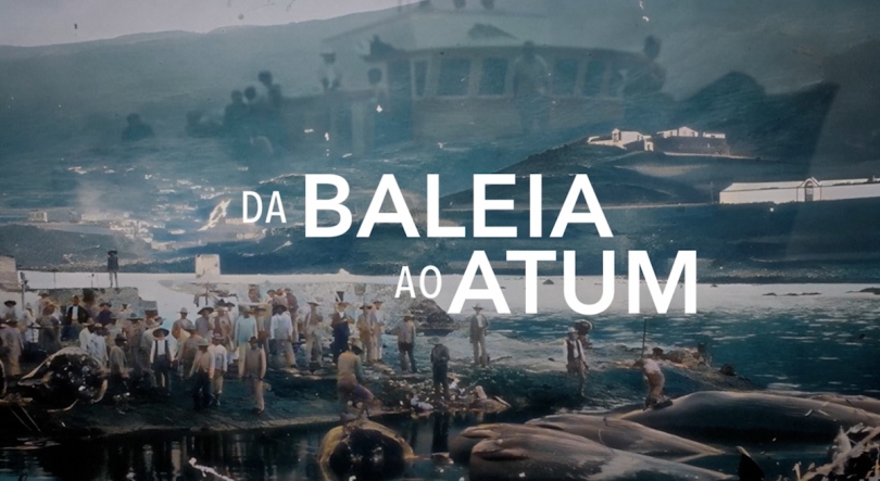 Imagem de Da Baleia ao Atum | Documentário