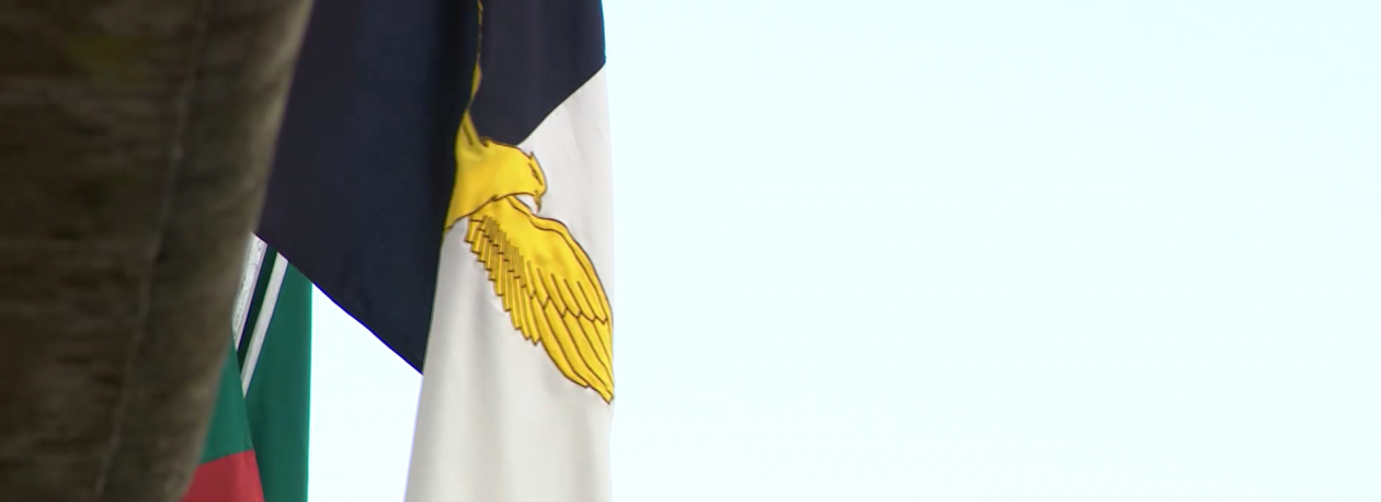 Imagem de Governo Regional regulariza pagamentos em atraso no âmbito das Linhas de Apoio às empresas