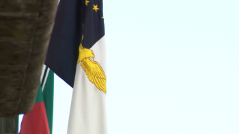 Imagem de Governo Regional regulariza pagamentos em atraso no âmbito das Linhas de Apoio às empresas