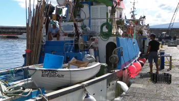 Imagem de Deputados do PSD dizem que 2025 foi o melhor ano para as Pescas