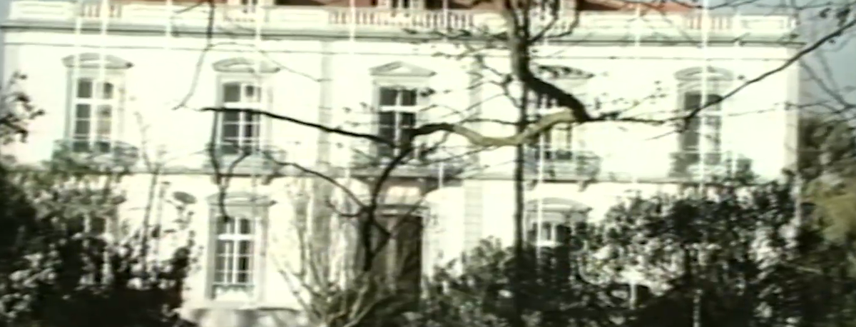 Imagem de Universidade dos Açores comemora hoje 50º aniversário