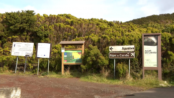 Imagem de Gruta do Algar do Carvão reabre em abril