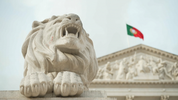 Açorianos em Lisboa: Três profissionais com uma matriz comum