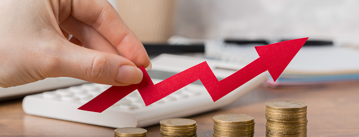 Imagem de Novo ano traz aumento do salário mínimo, mas também subida de preços em bens e serviços