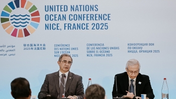 Imagem de Peter Benchley Ocean Awards: Bolieiro distinguido pelo trabalho na proteção e recuperação do meio marinho