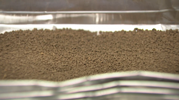 Imagem de Investigadores da Universidade dos Açores participam em projeto para produção de bio carvão