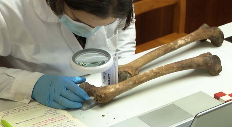 Imagem de Coleção de esqueletos identificados dos Açores a colocar a Região no mapa da Antropologia