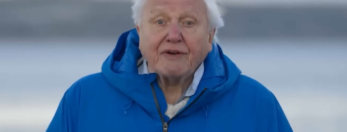 Imagem de ‘Ocean with David Attenborough’ na Biblioteca Pública de Ponta Delgada