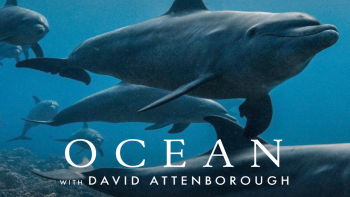 Imagem de Blue Azores está a promover a exibição do documentário ‘Oceano com David Attenborough’