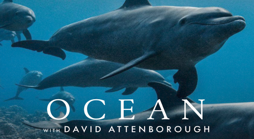 Imagem de Blue Azores está a promover a exibição do documentário 'Oceano com David Attenborough'